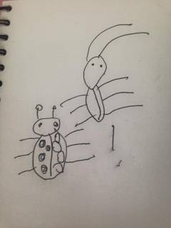 Bild 29