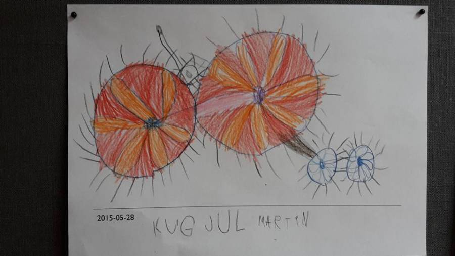 5_ar_pojke_kugghjul.jpg